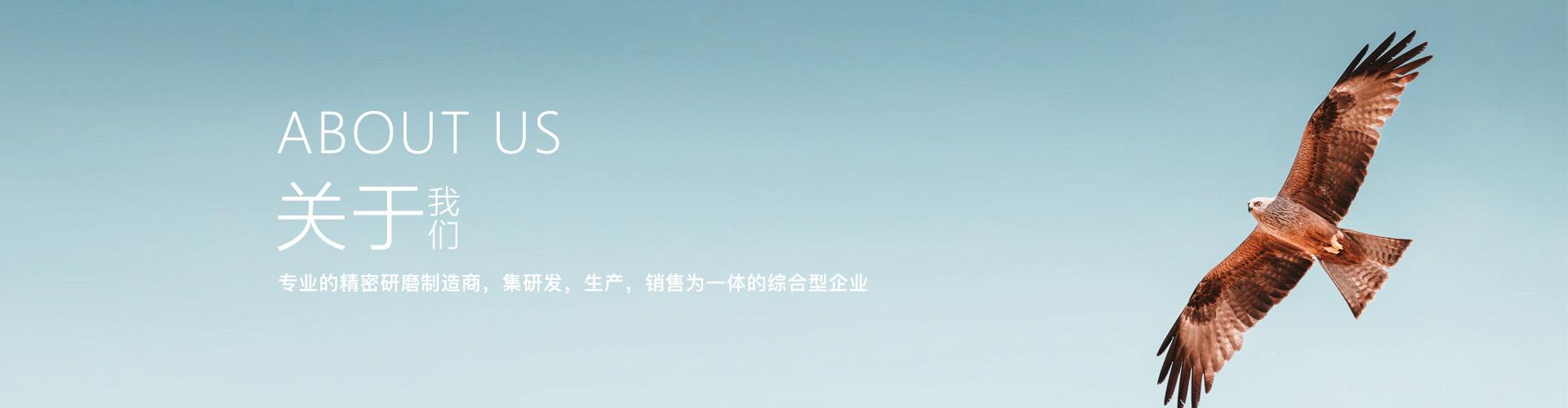 关于我们